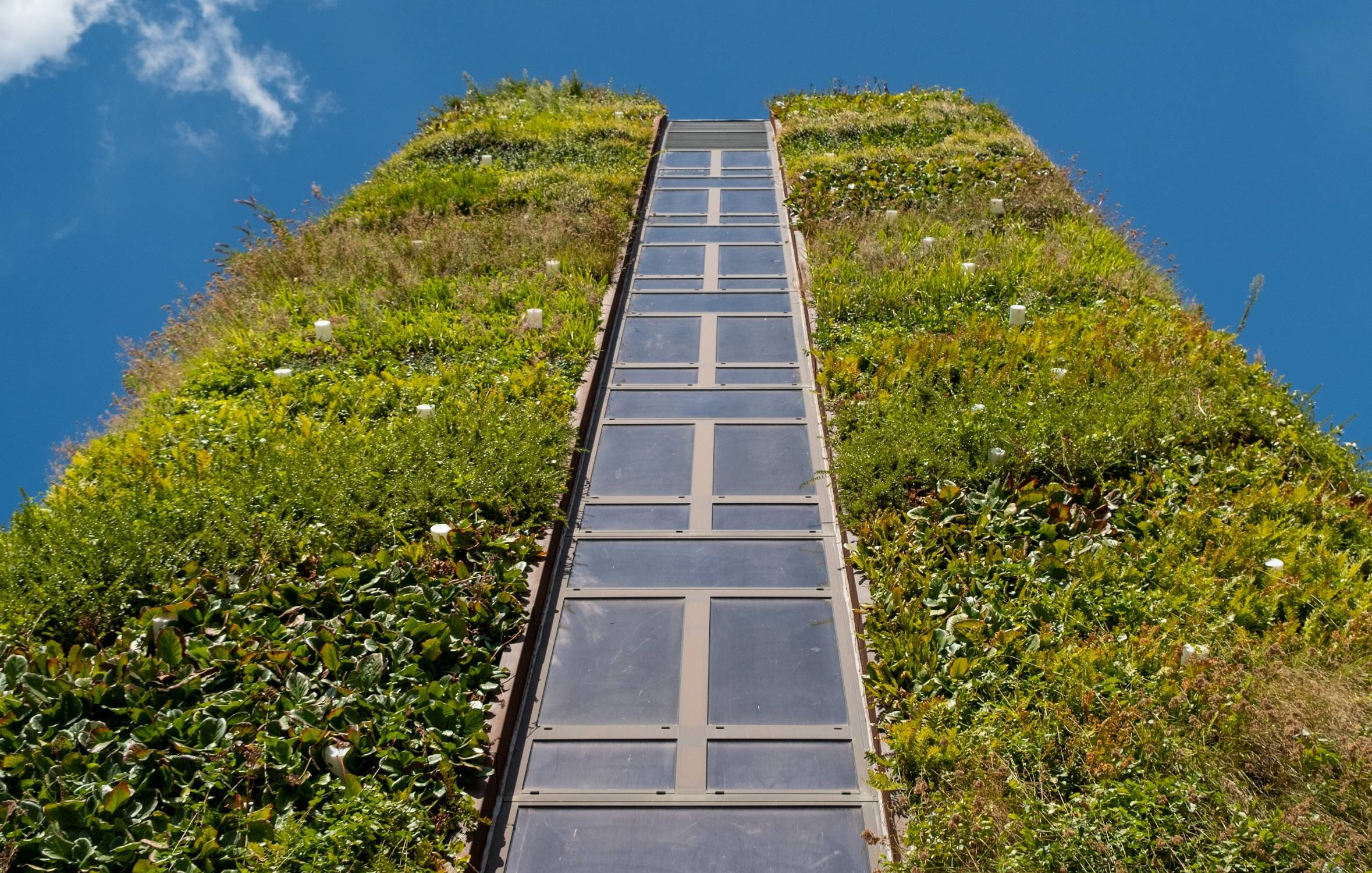 Viritopia Aluminium Top Hat Build-Up - Modular Living Green Wall System