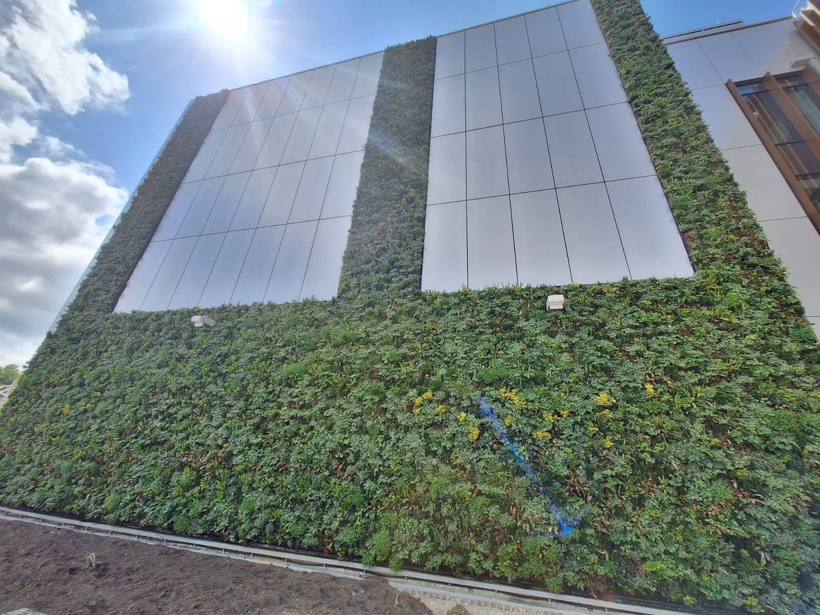 Viritopia Sandwich Panel Cladding Build-Up - Modular Living Green Wall System