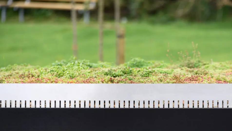 Sedum Roof - Green Roof