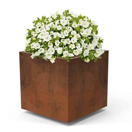 Benito Olea Corten Planter