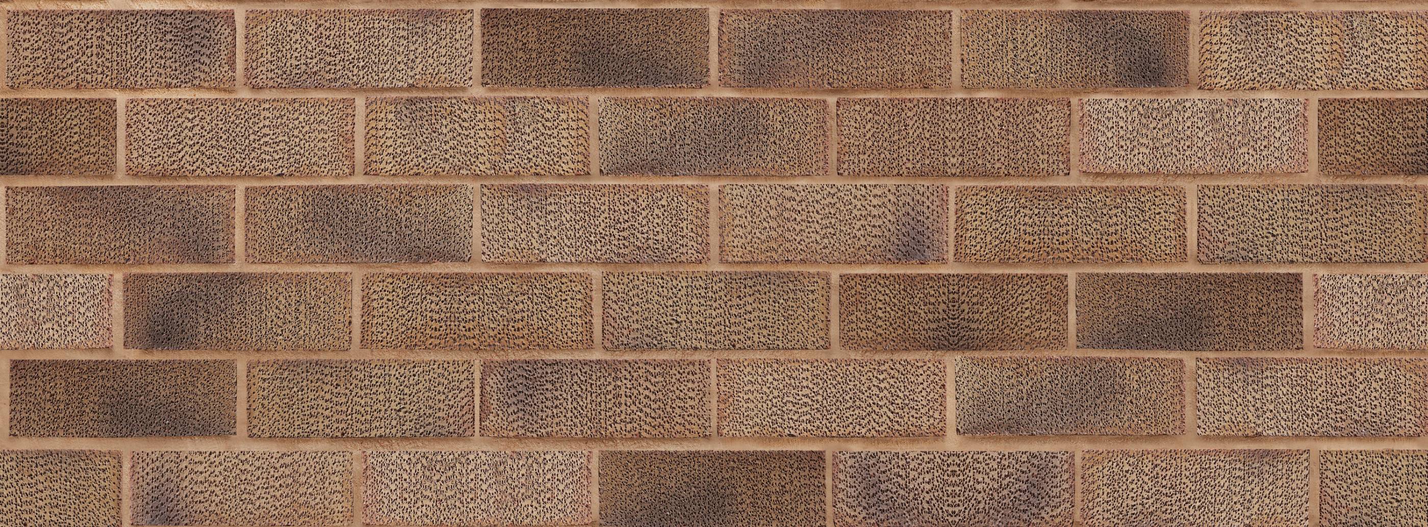 Carlton Pinhole Crofton Buff Clay Brick - Imperial