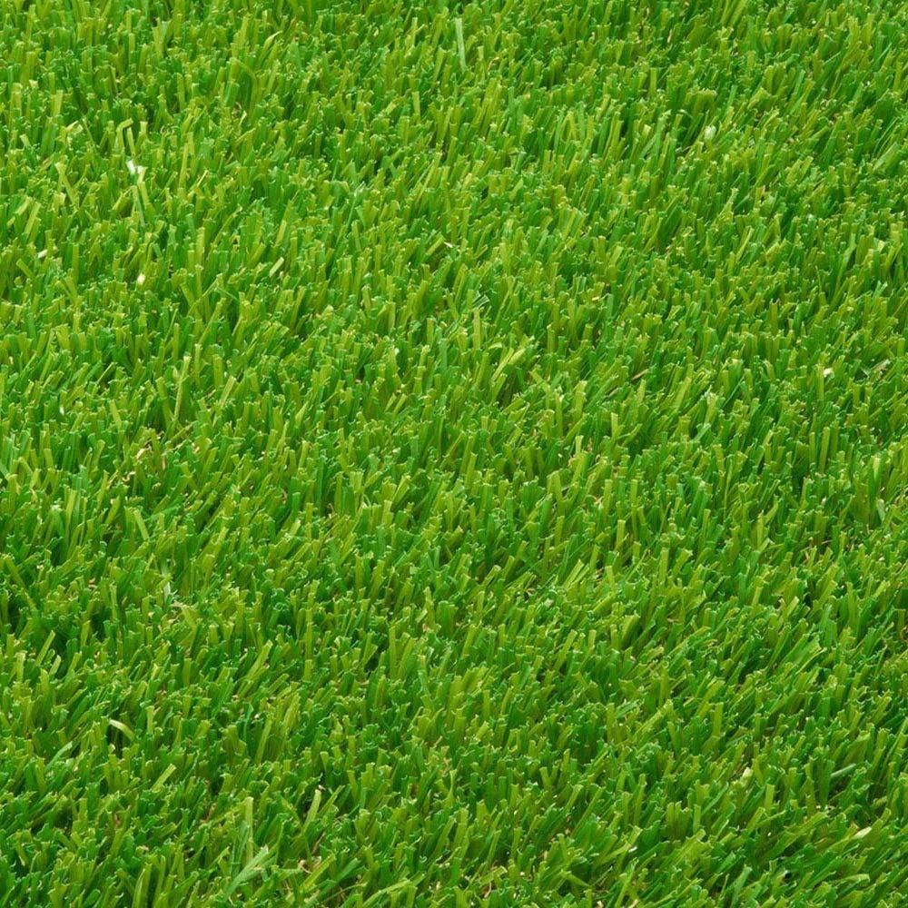 Artificial Grass