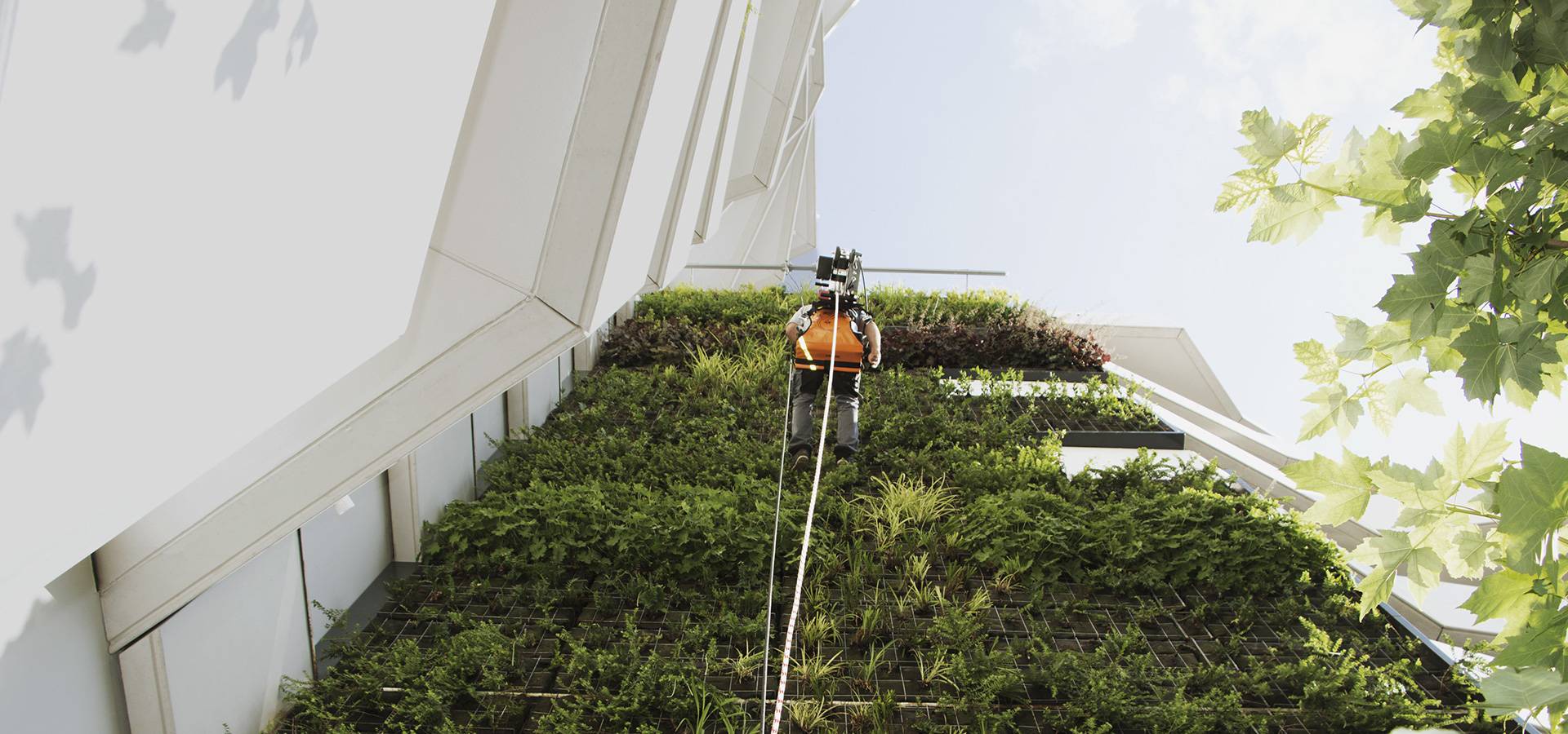 SafeAccess for Greenwalls | Fallprotec S.A. | NBS Source