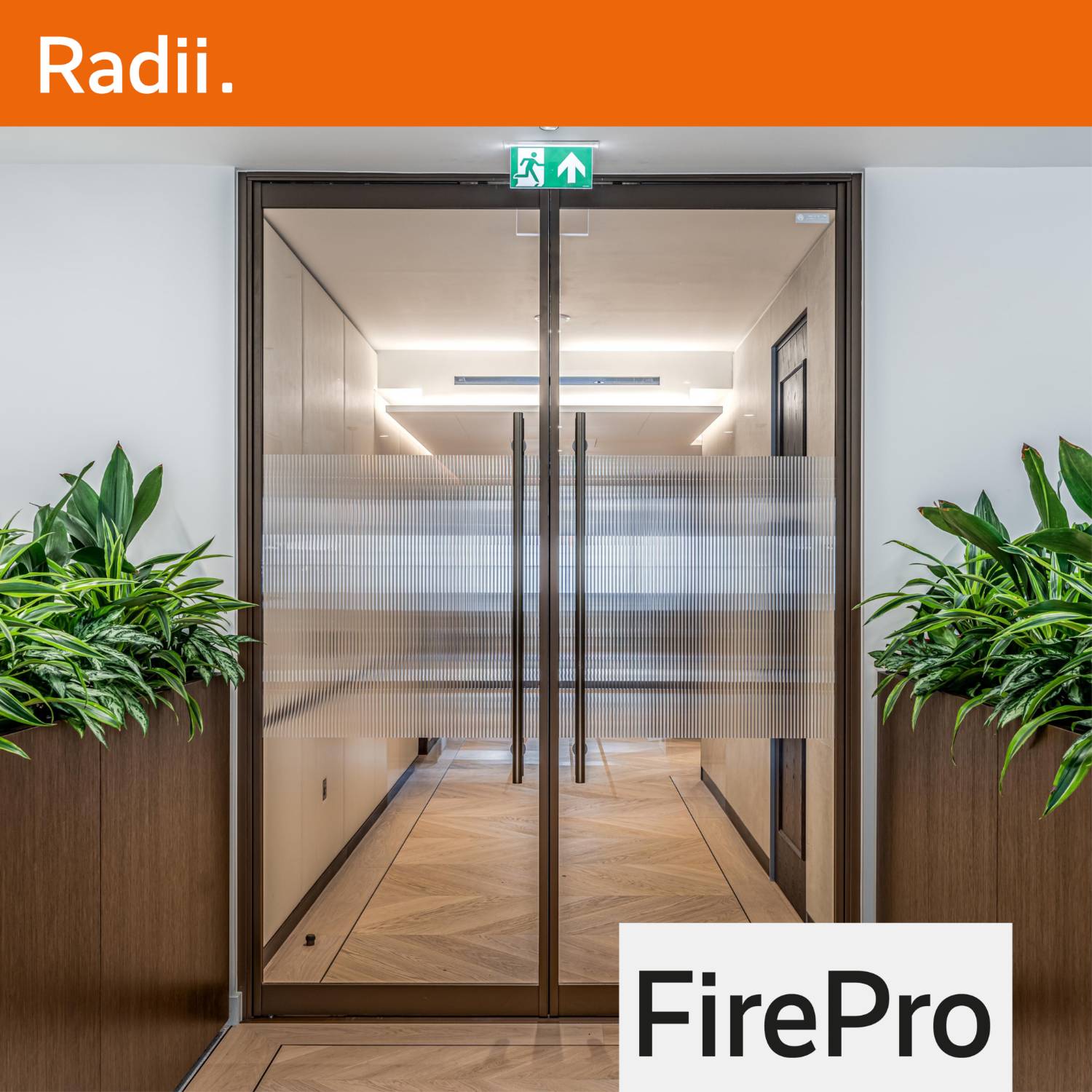 FirePro Ei60 Fire Rated Glass Partition System and Fire Door