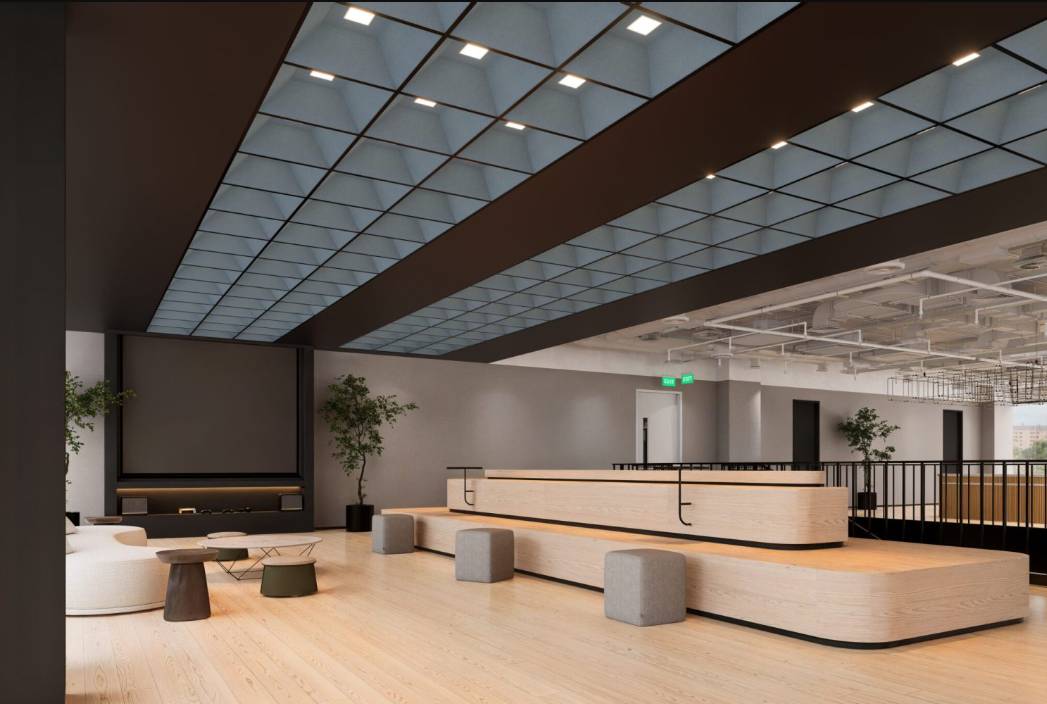 Castillo Ceiling Tiles - Acoustic Ceiling Tiles