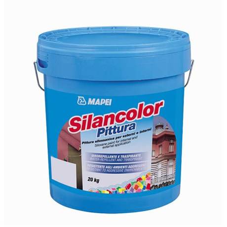 Silancolor Paint