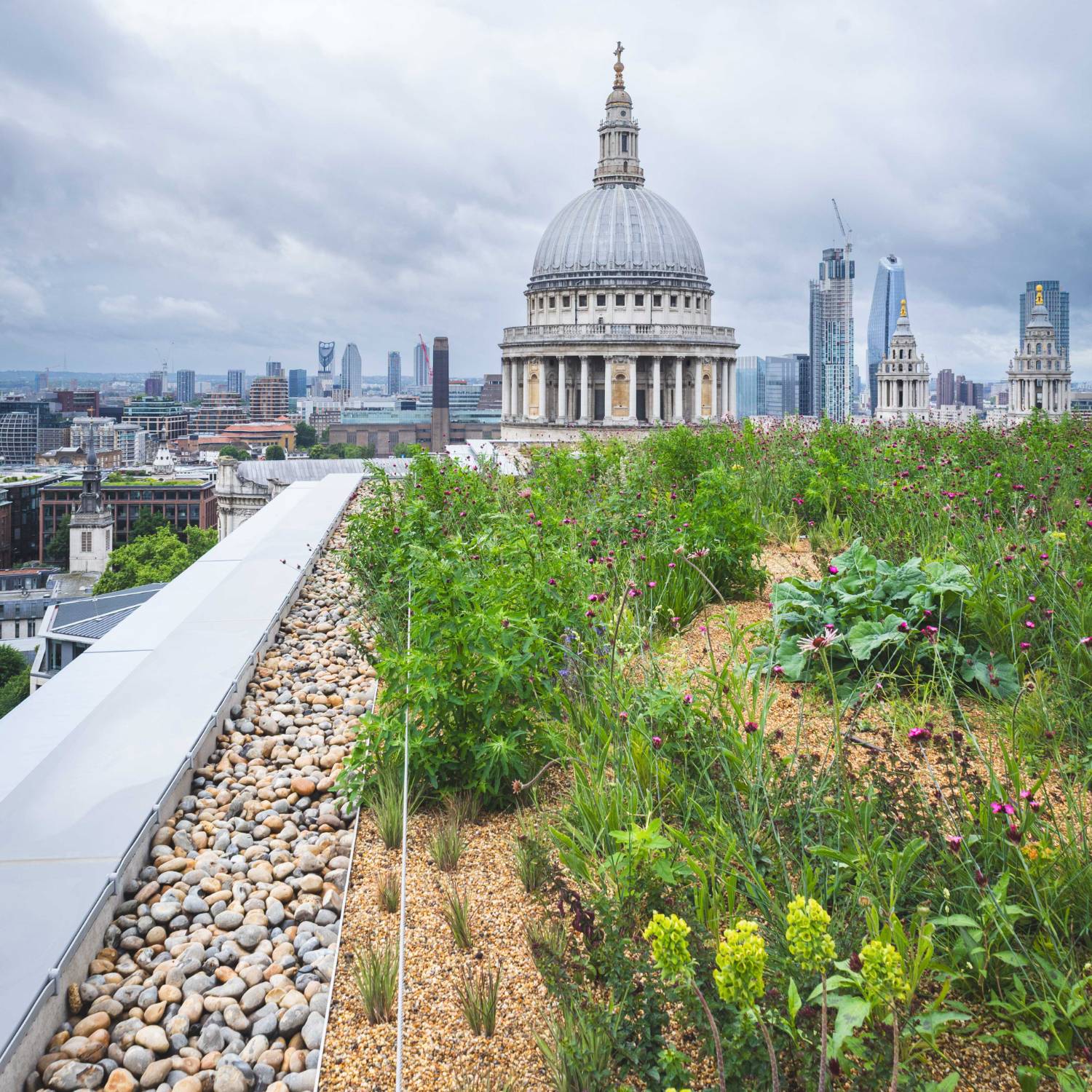 20/40mm Roofing Shingle