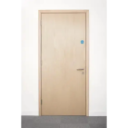 FD120 Timber Internal Flush Doorset