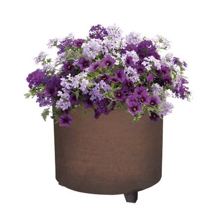 Benito Olea Corten Planter