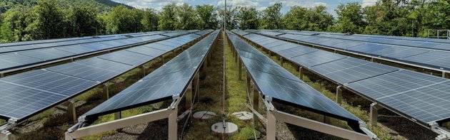 Solar Green Roof