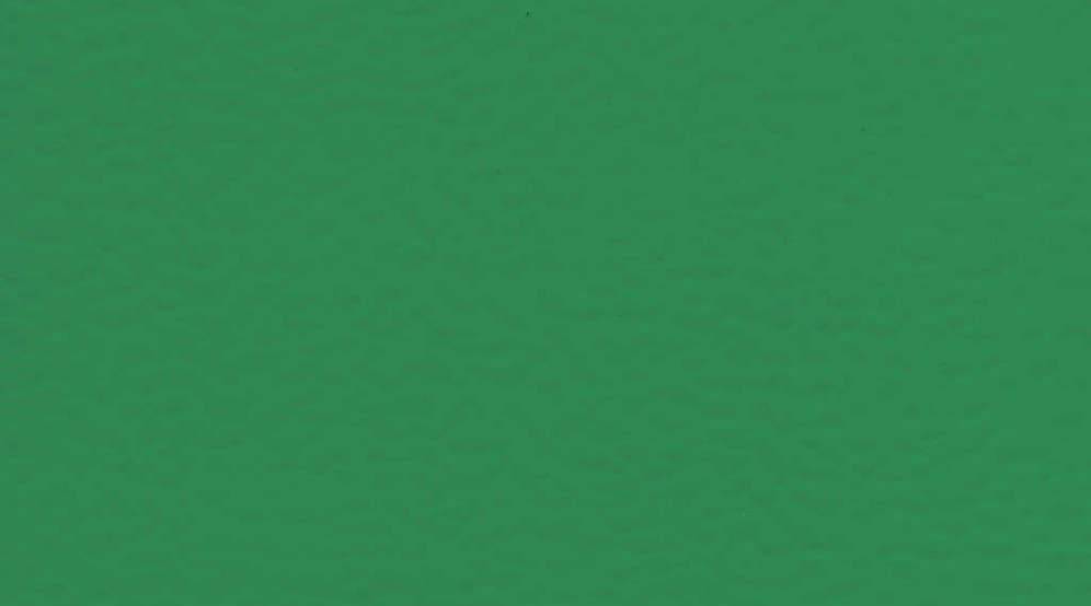 Taraflex® Performance – Sheet - New - Sports Flooring