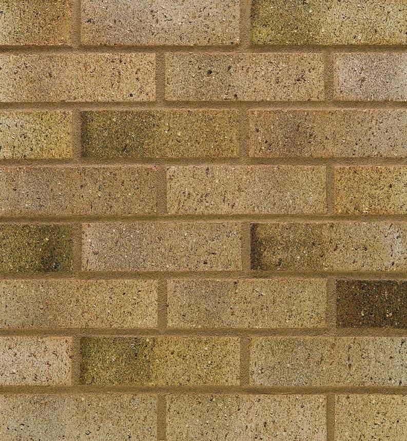 Rothesay Blend - Clay Facing Brick