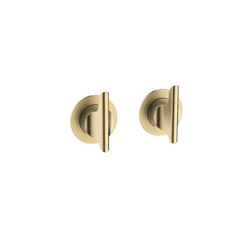 Foile Module 2 Handle Set - Shower Valve Control Trim