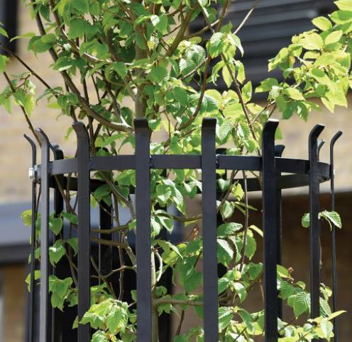 Mild Steel Poplar Tree Guard