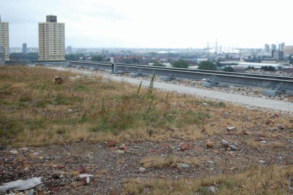 Biodiverse roof system - green roof