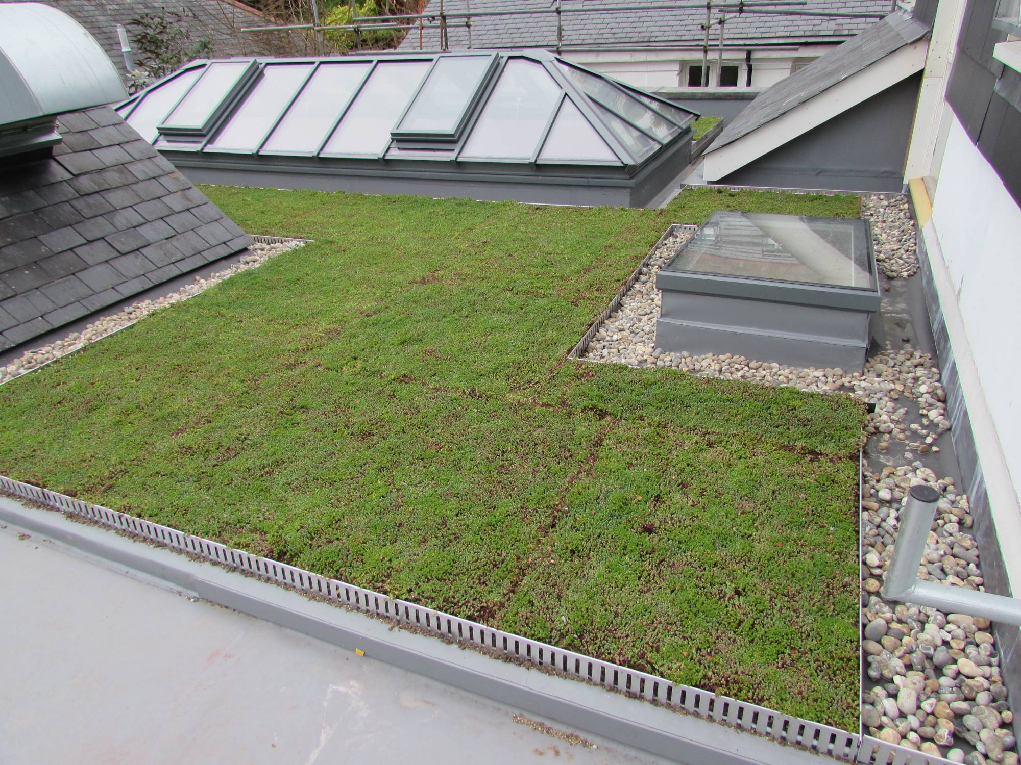 Dedicated Sedum Sub-Surface Adhered Membrane System With Mineral Wool Insulation - RENOLIT ALKORPLAN Green LA