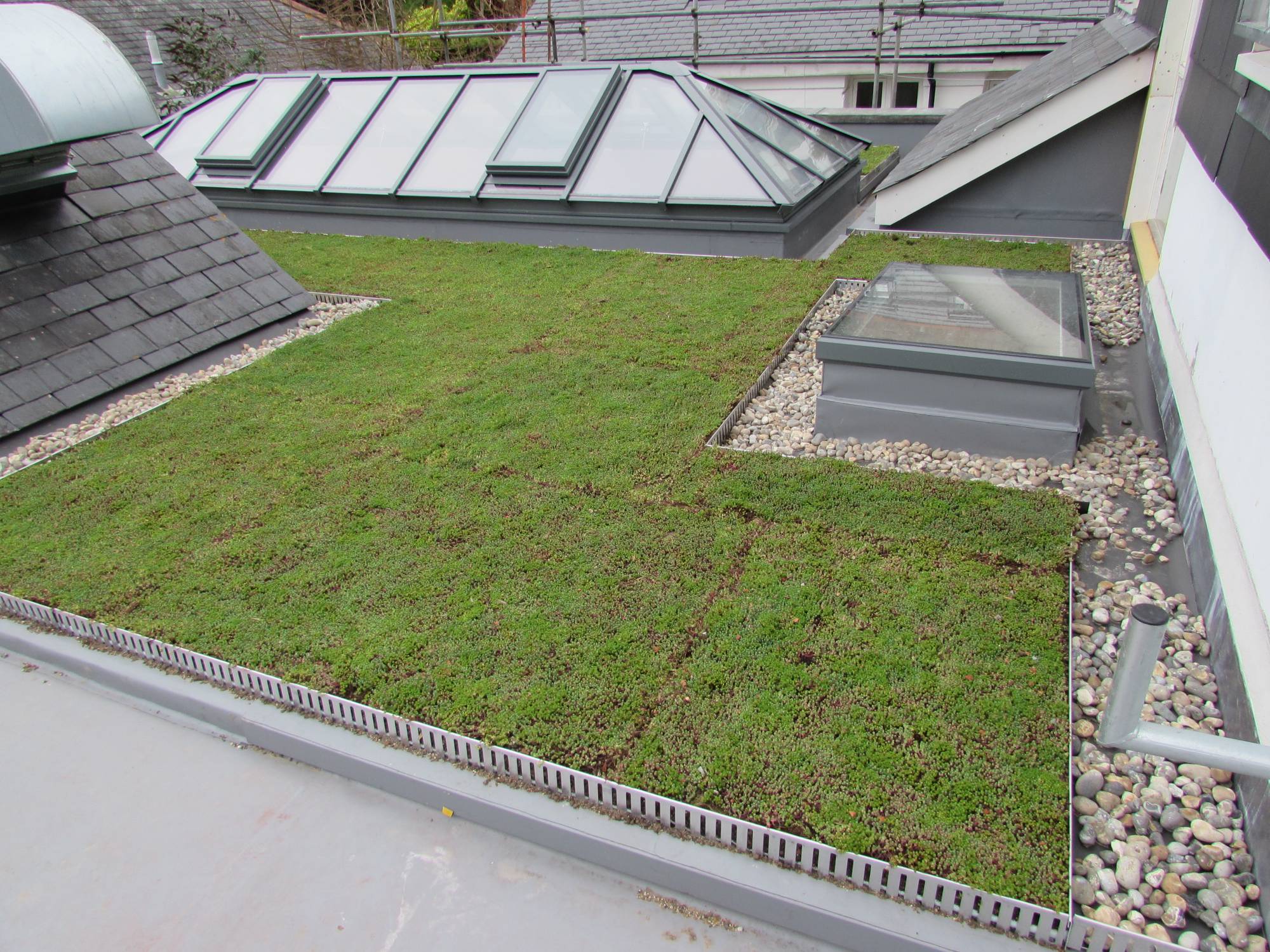 Dedicated Sedum Sub-Surface Adhered Membrane System With Mineral Wool Insulation - RENOLIT ALKORGREEN LA