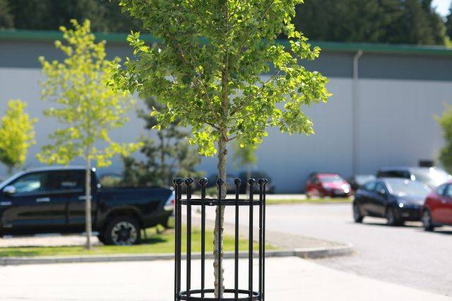 Vertical Steel Tree Guards - 'The Lakes' Range