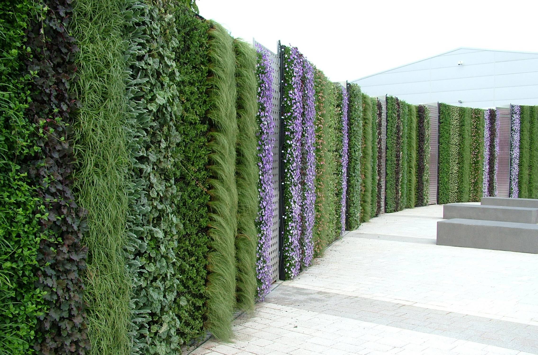 ANS Exterior Living Wall System – Steel Frame