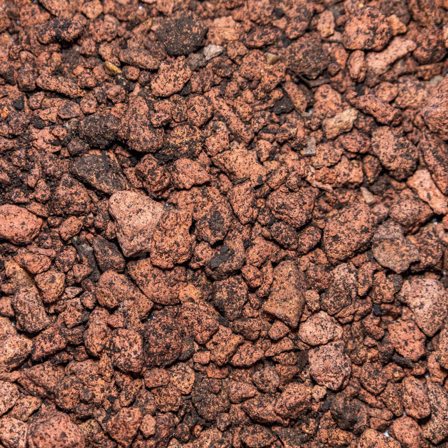 Extensive Biodiverse Substrate
