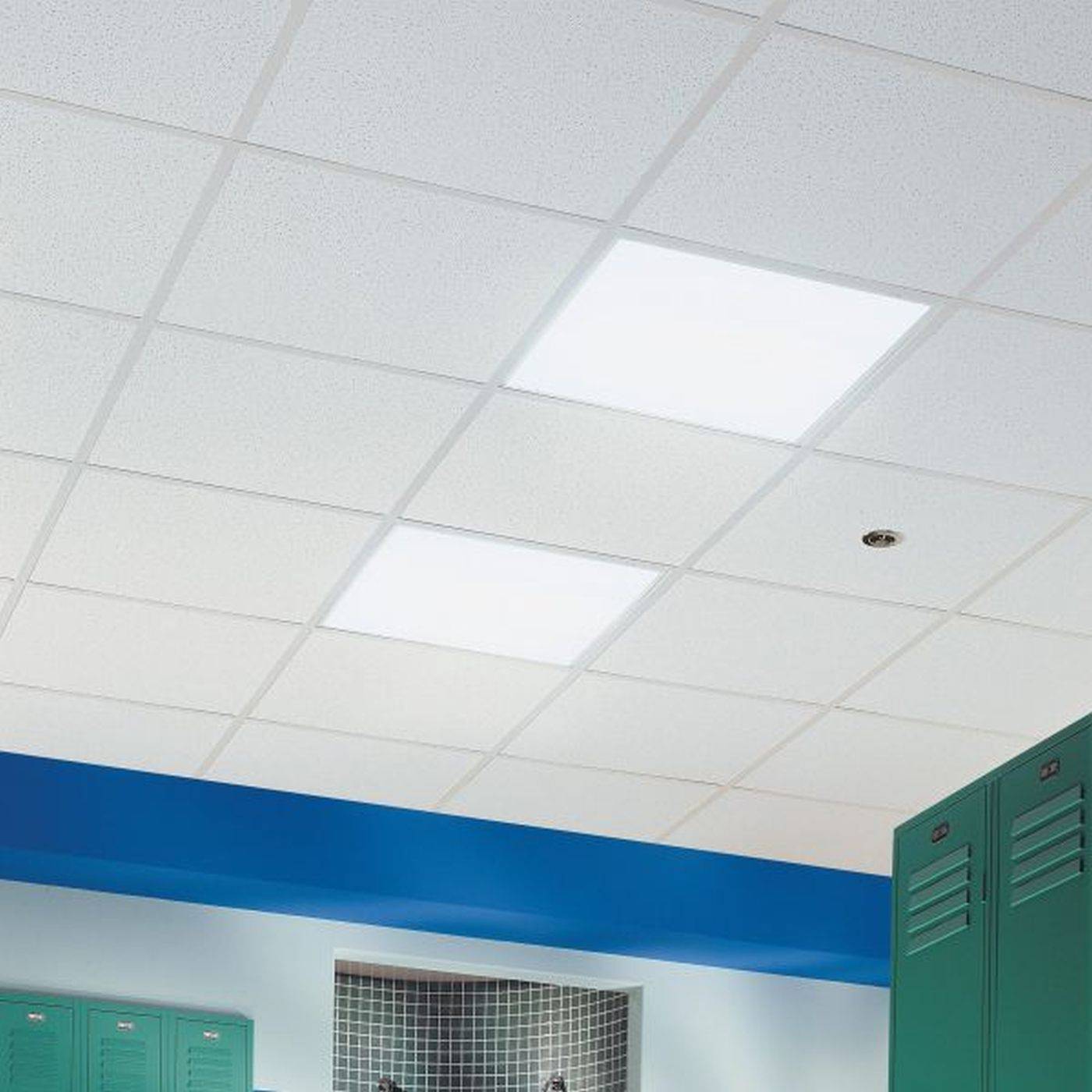 Ceramaguard - Mineral Tile Suspended Ceiling System