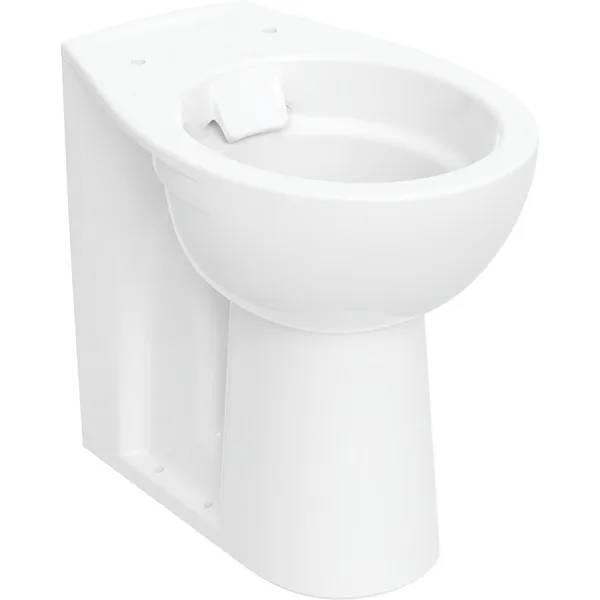 Twyford Alcona Floor-Standing WC, Washdown, Back-To-Wall, Raised, Horizontal Outlet, Rimfree