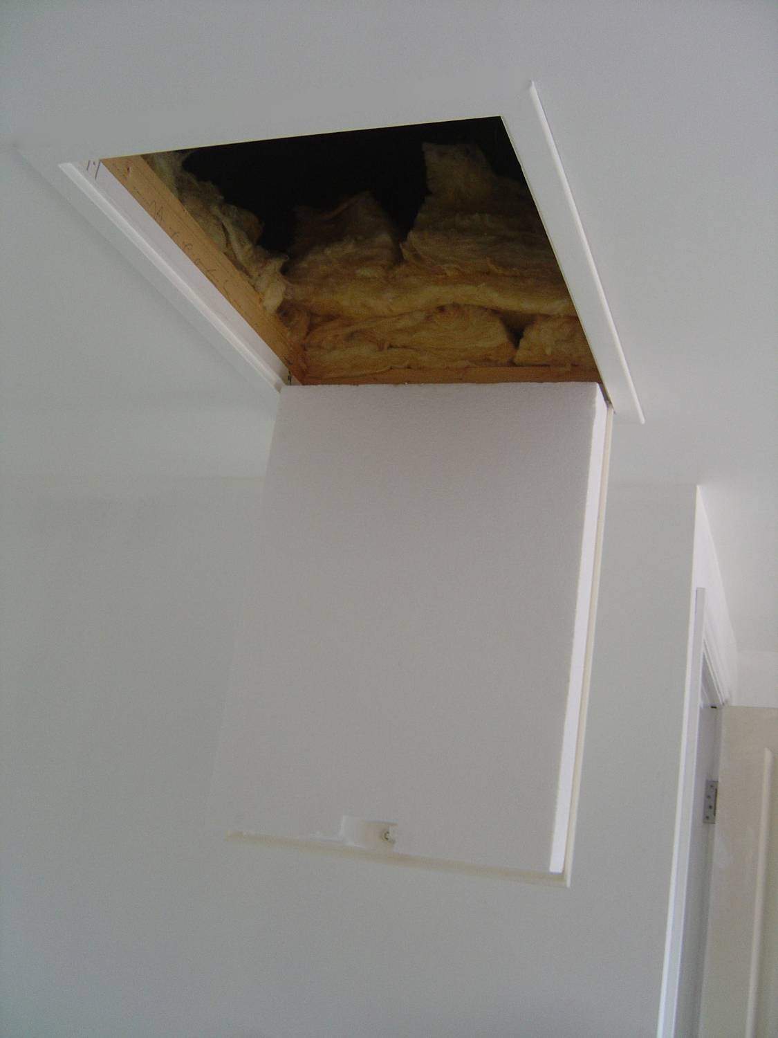 Contemporary hinged Loft Hatch