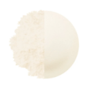 Powdura Eco - High-Performing Polyester Resin