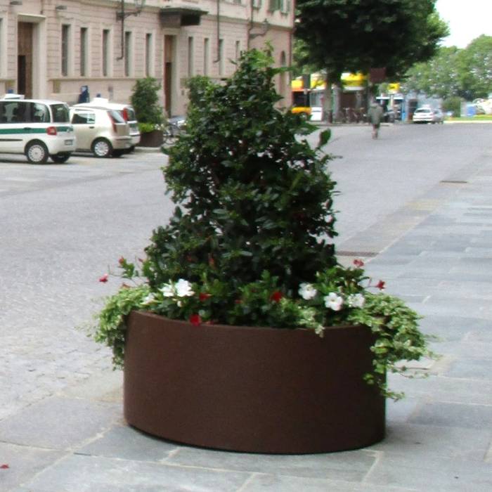 Aster Planter