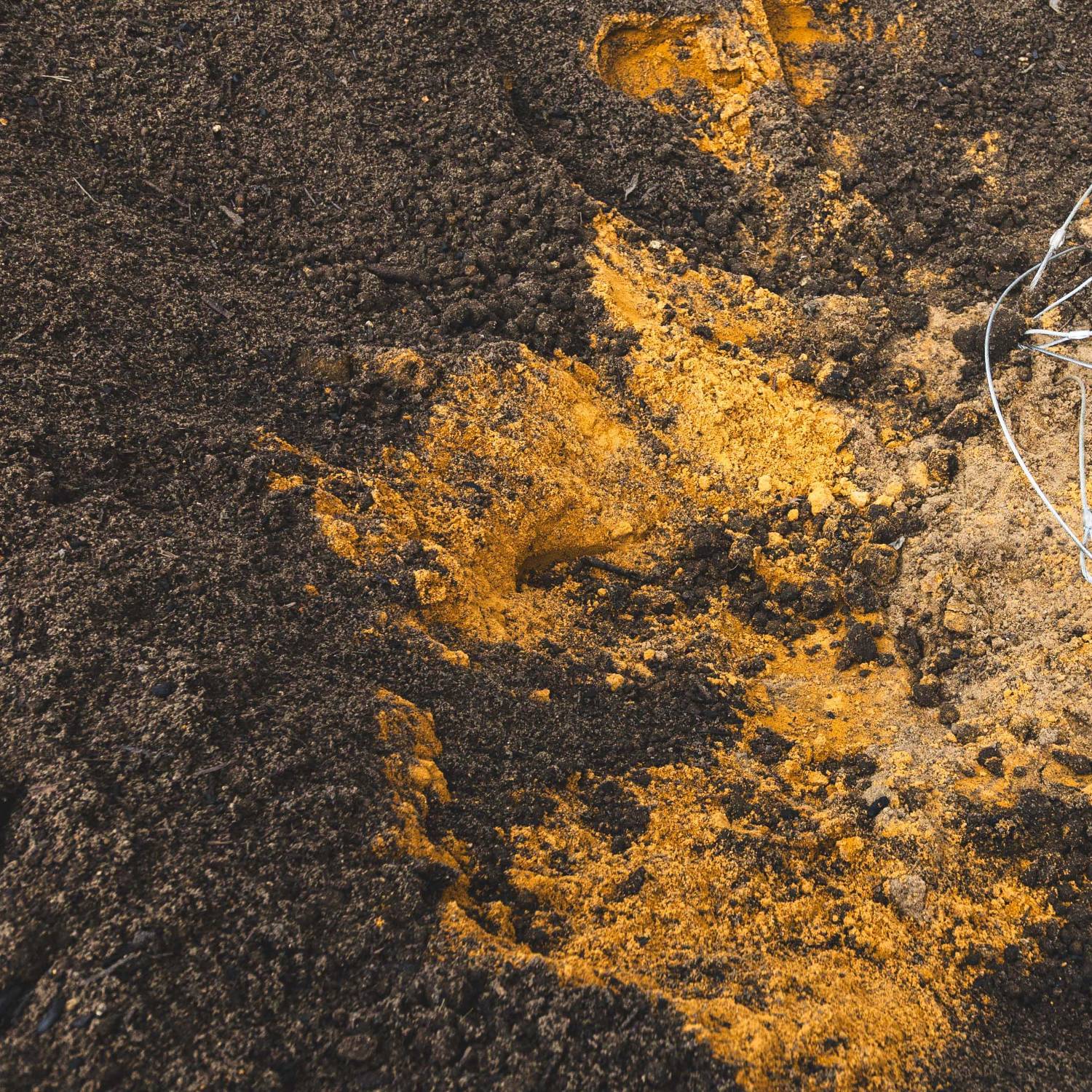 Urban Structural Tree Soil