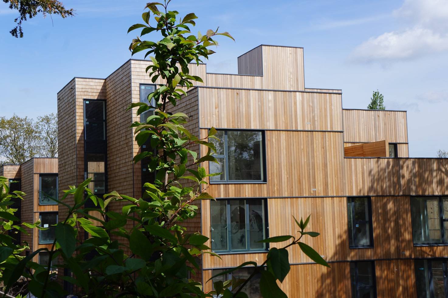 Canadian Western Red Cedar Timber Cladding