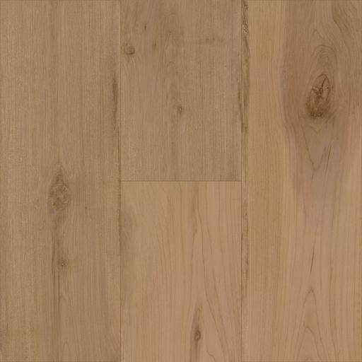 Wildcraft Maple