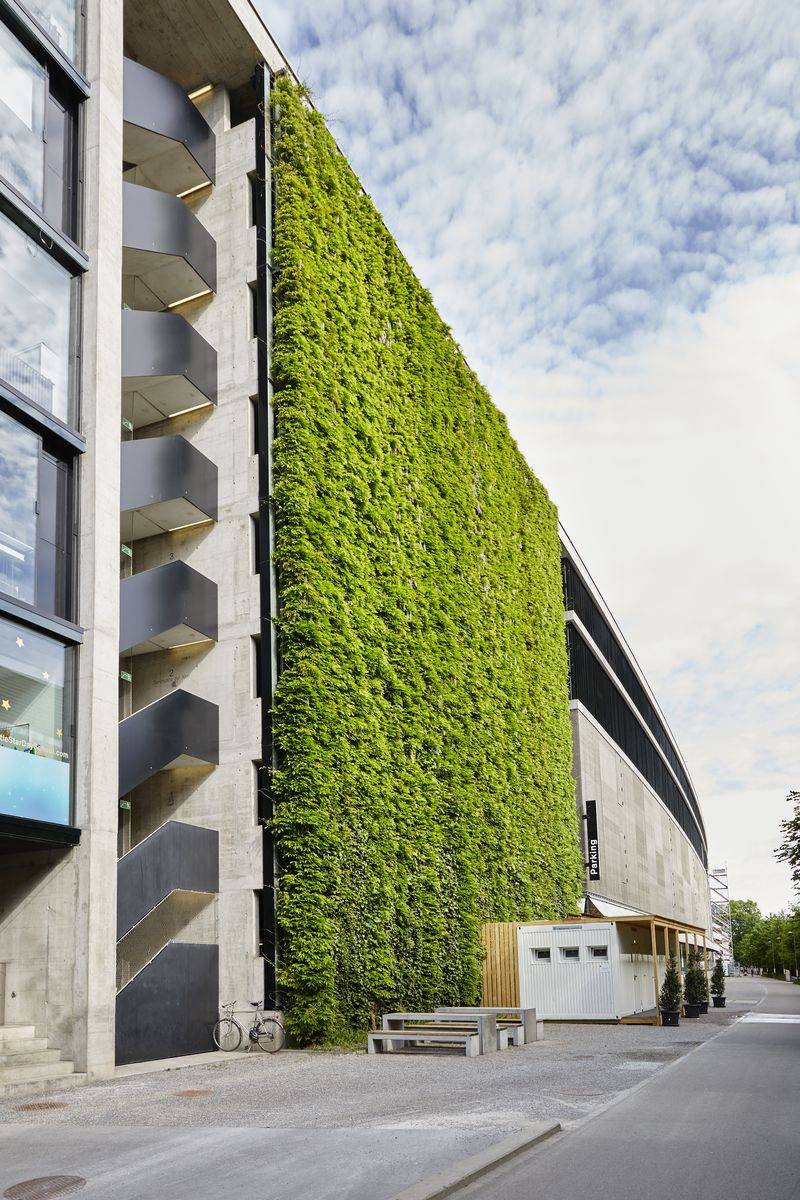Living Green Wall – JAKOB Rope and Rod Trellis - Living Green Wall