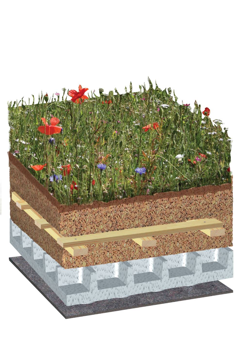 BauderEXTENSIVE PLANTsubstrate WB Native Wildflower Blanket Green Roof System, Pitched Roof