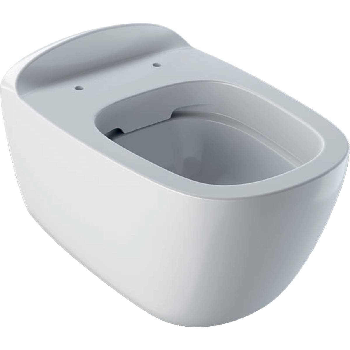 Citterio Wall-Hung WC, Washdown, Shrouded, Rimfree