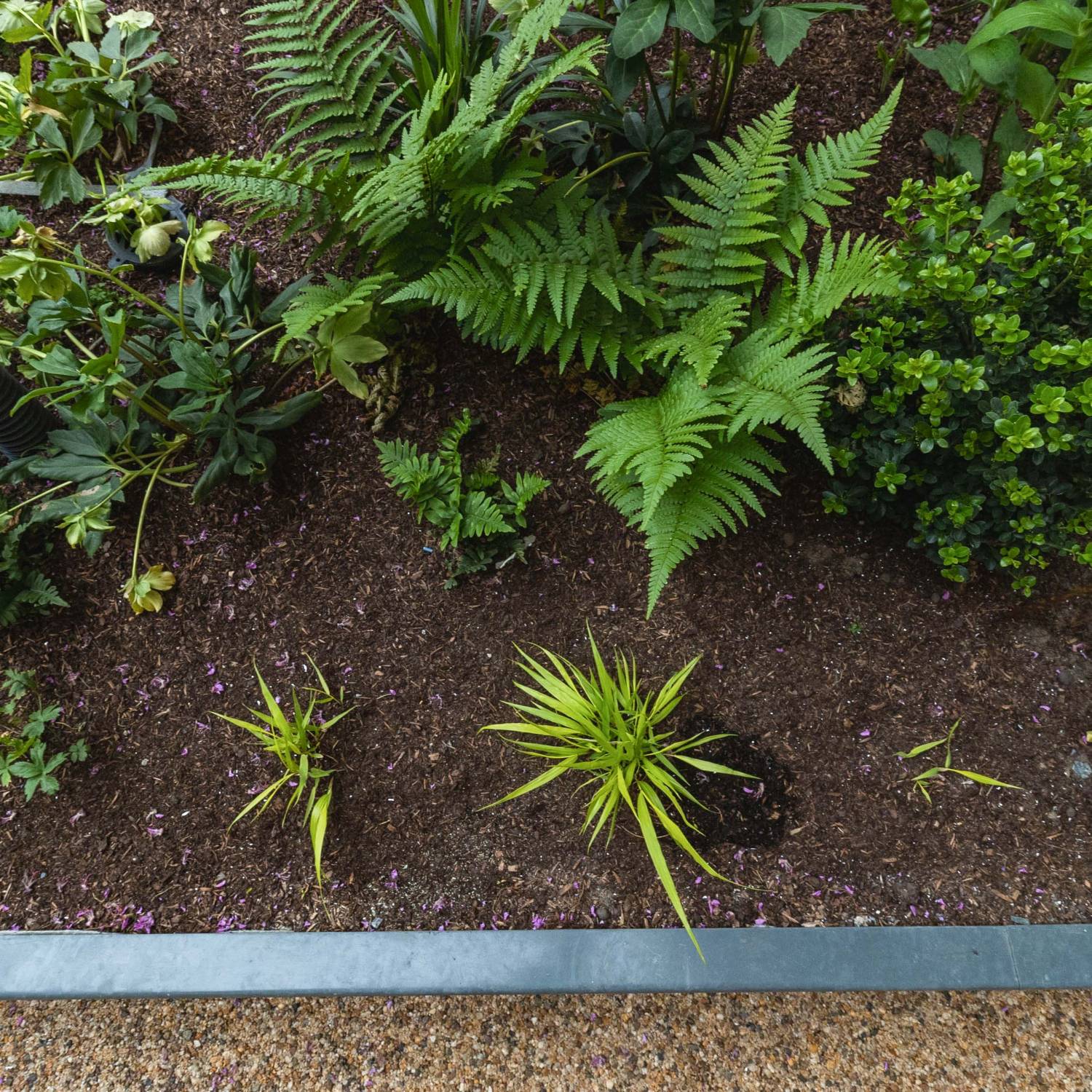 0/8mm Composted Bark Fines