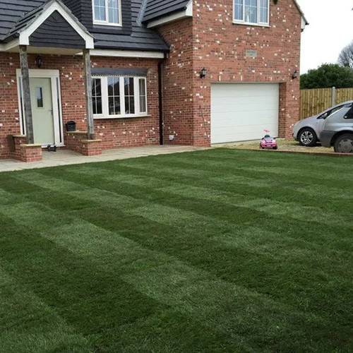 LT7 Festival - Grass Turf