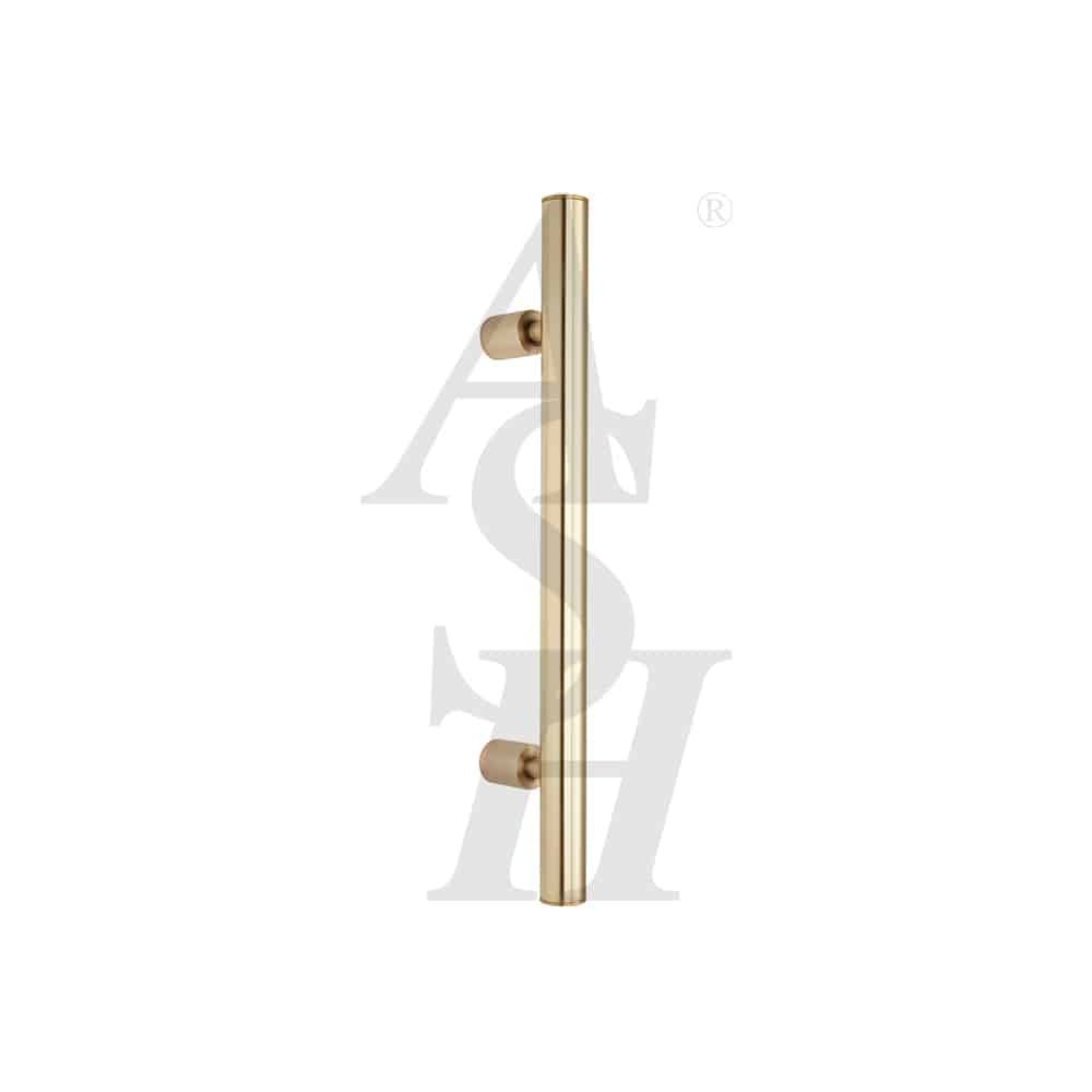Pull Handle Guardsman with Telescopic Posts ASH268  - Pull Handle