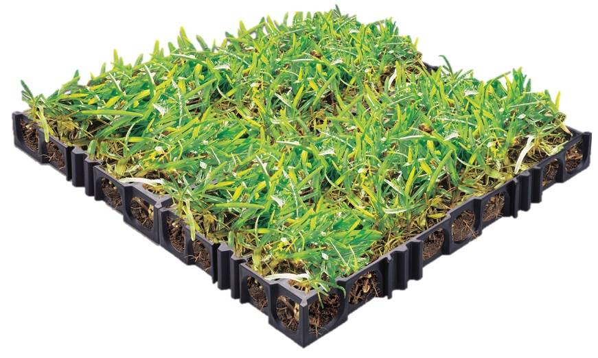 Turf Cell® - Permeable Paver - Grass Reinforcement