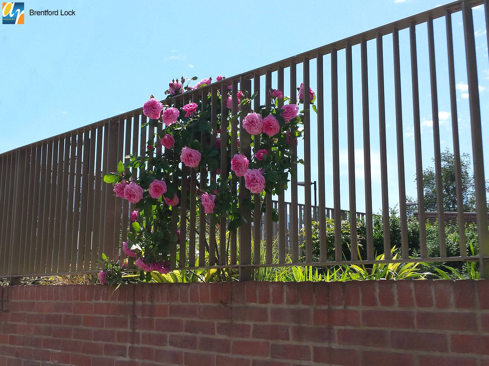 Flat Bar Steel Railings – Contemporary Mild Steel Fencing