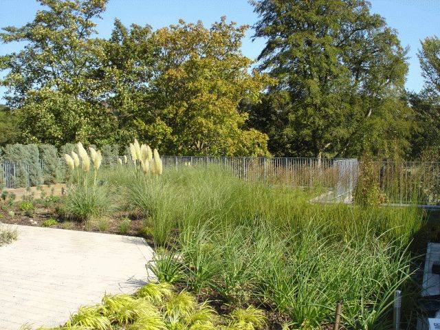 Intensive Green Roof System - green roof