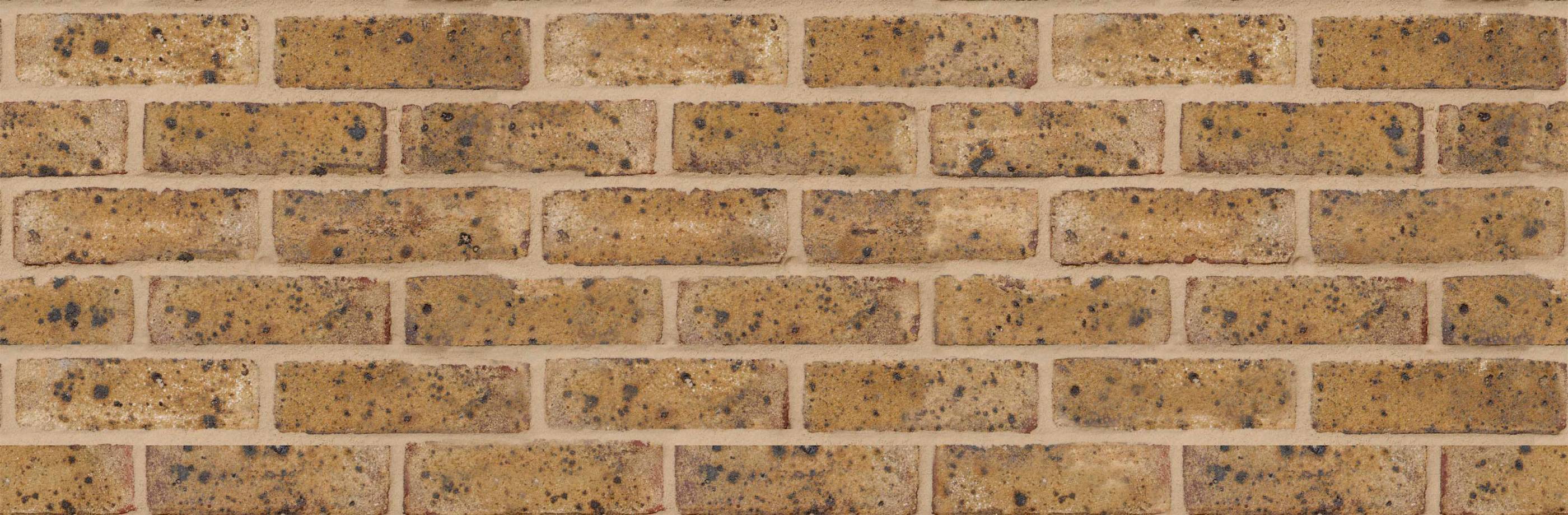 Freshfield Lane Danehill Yellow Clay Brick 