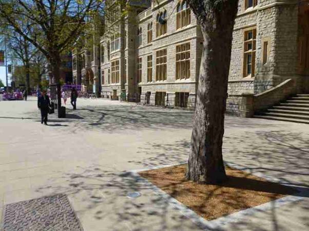 Resin Bound Tree Pit Surfacing  - Resin Bound Paving