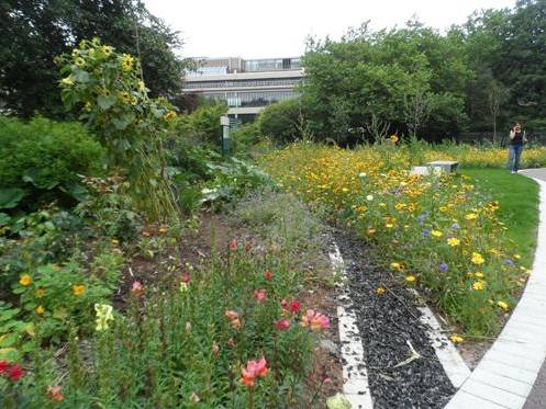 GT Intensive Roof Garden Substrate - Aggregate and Topsoil Blend