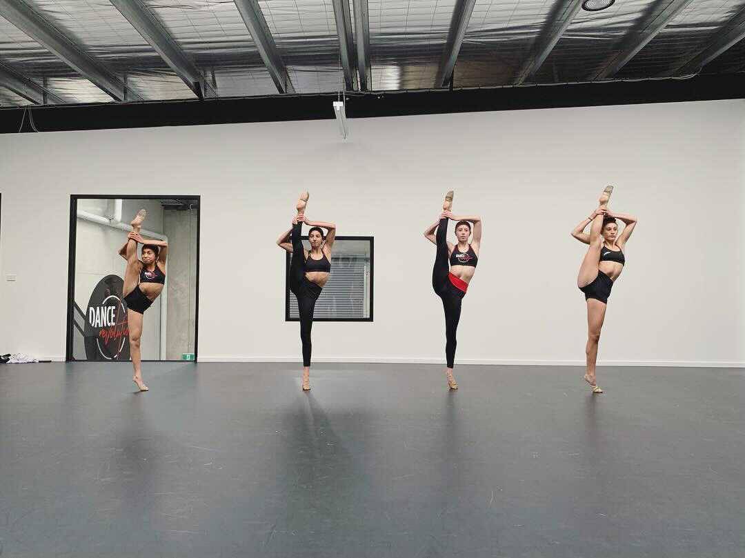 Dance and Performance Vinyl - Harlequin Studio - Dance and Performance Vinyl