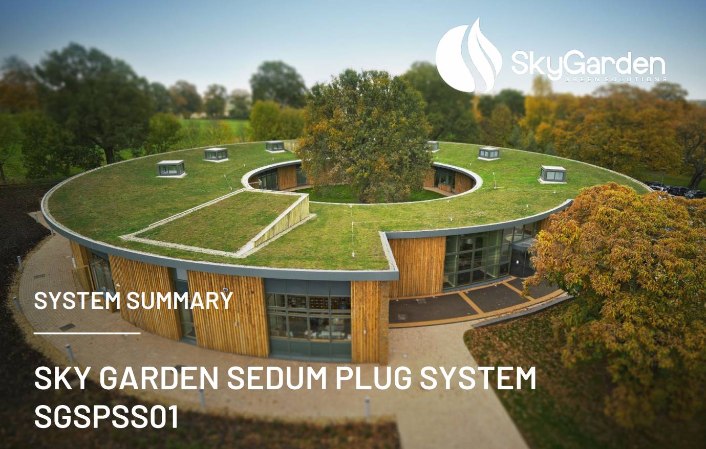 Sky Garden Sedum Plug System - Sedum Plug Plants