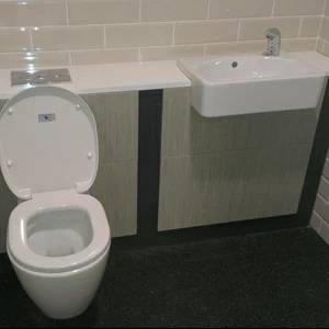 Bespoke Vanity and WC IPS Units