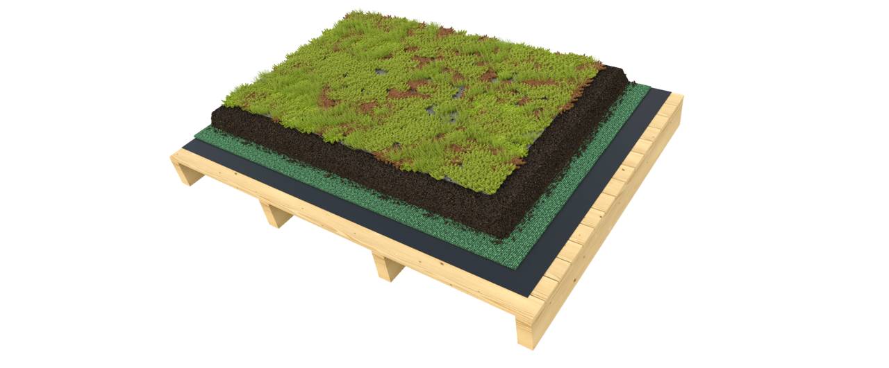 Pitched Roof - Extensive Green Roof System