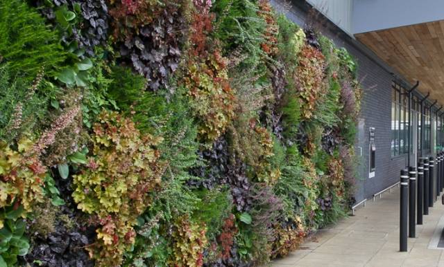 LivePanel® Living wall (External)