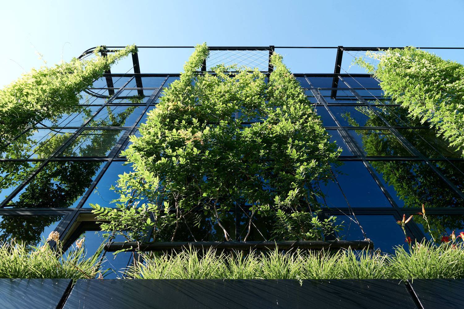 JAKOB Living Green Wall – Webnet Wire Mesh - Living Green Wall